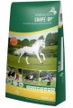 Saracen Shape-up